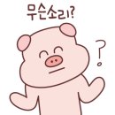 비비배드민턴