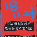 뉴이즘 이미지