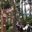 구룡폭포길 이미지