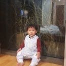 왜목빌리지 이미지