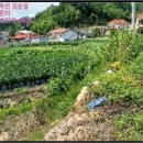 주생면 낙동마을 이미지