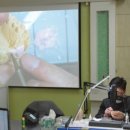 오랄디자인서울 이미지