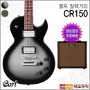 콜트