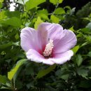 서림동-31 이미지