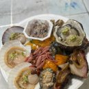 도시속바다
