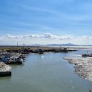 선두4리항 어판장 이미지