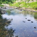 하슬라 캠핑장 이미지