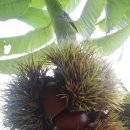 판교365의원 이미지