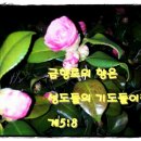 (주)한교연 이미지