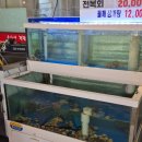 [안양] 안양 간장게장 &#39;홍가네간장게장&#39; 후기
