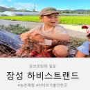 장성어린이집 | 광주근교 아이와가볼만한곳 장성 하비스트랜드 농촌 체험 후기