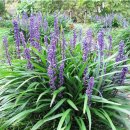 초록농장2 이미지