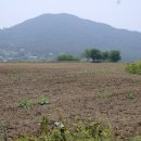죽동리 이미지