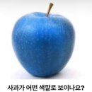 머꼬 이미지