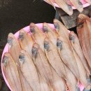 복진상회