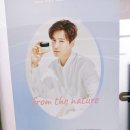 위더스 인셀덤