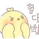 티그레스튜디오