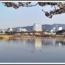 만석공원 이미지