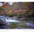 지리산 단풍을 즐기다(달궁야영장 10월21-23일)