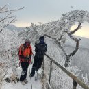 한고개길 이미지