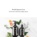 보타랩헤어 이미지
