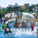 송촌생활체육공원(4) 이미지