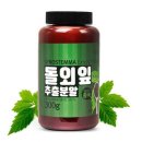 엔에스유