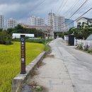 치악산둘레길 11코스 한가터길 이미지