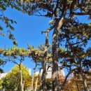 동뫼산공원 이미지