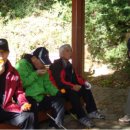 남계 진입로 이미지