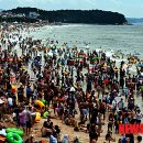 대천해수욕장 이미지