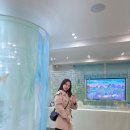 토리든 성수 팝업스토어 4월 일정 &amp; 토리도원 체험 후기
