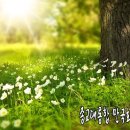 평화만들기 이미지