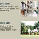 남오천 네이버블로그