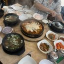 이양오일시장 | 혈당스파이크와서 밥숟갈 내려놓자마자 쿨쿨띠해야 함