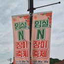장미파크 | 임실치즈테마파크 장미 축제 미리 다녀온 후기 주차 및 실시간 장미 개화