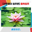 나침반여행사주 이미지
