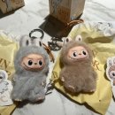 비에스물류 | 팝마트 글로벌 통관번호+포에버베네핏 진실혹은거짓