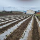 만재농장 이미지