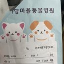 야당마을동물병원 이미지