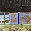 주연농장 이미지