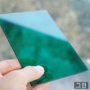 제주캐노픽스 이미지