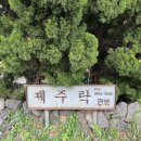 제주락 | 제주 서귀포 숙소 제주락 머문 후기