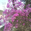 성안드레아 병원 이미지