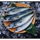 수륙식품 이미지