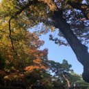 47 | 조선 후기의 정원 [성락원]