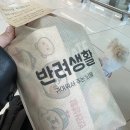 반려생활 제주 전세기 이용 후기(3월16일~18일)