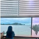 파도마루 | [1년 전 오늘] 🌊주말 가족모임카페) 대부도 바다뷰 카페 ‘파도마루’ 🌿 다녀온 후기