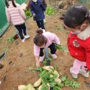 뽑기노리 이미지