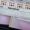 한석펜션 | [KT 대학생 IT 서포터즈 KIT] KIT 3기 활동 후기